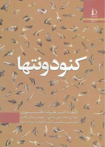 پایانه - کنودونتها