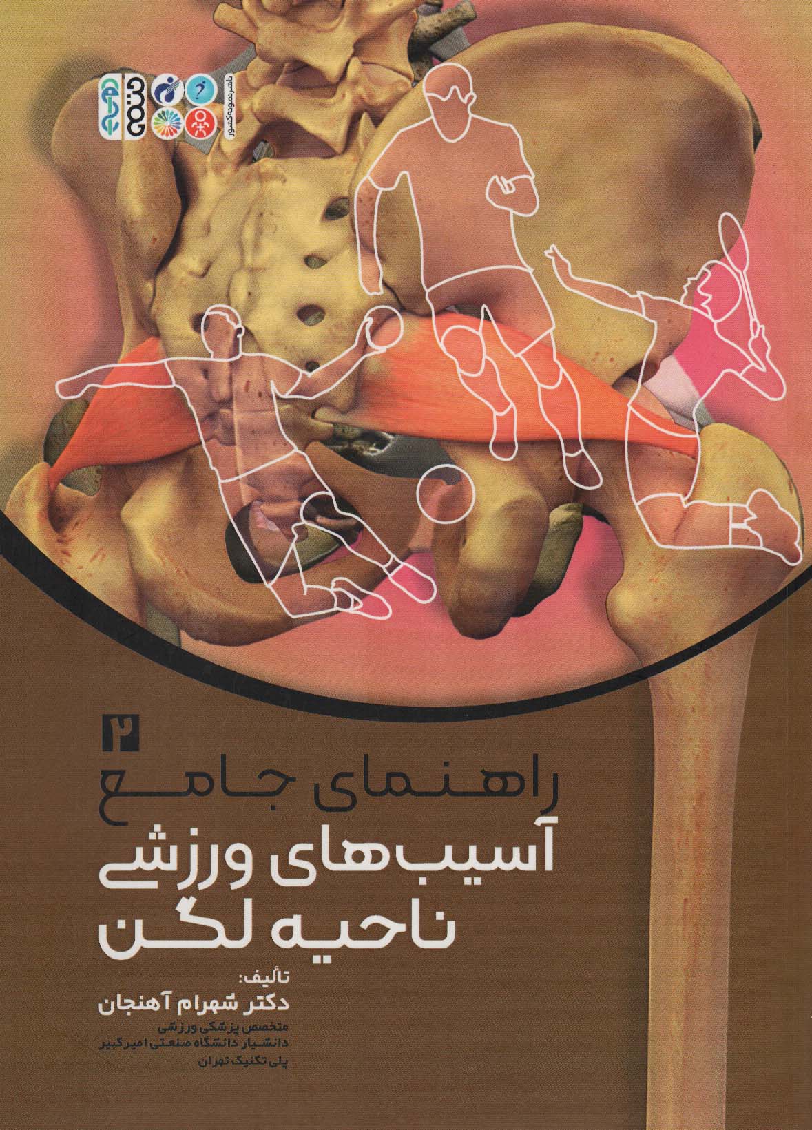 پایانه - راهنمای جامع آسیب های ورزشی ناحیه لگن 2