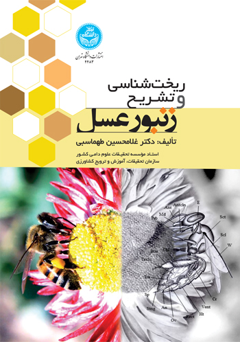 پایانه - ریخت شناسی و تشریح زنبور عسل