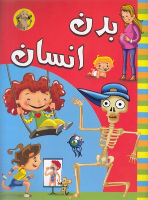 پایانه - بدن انسان