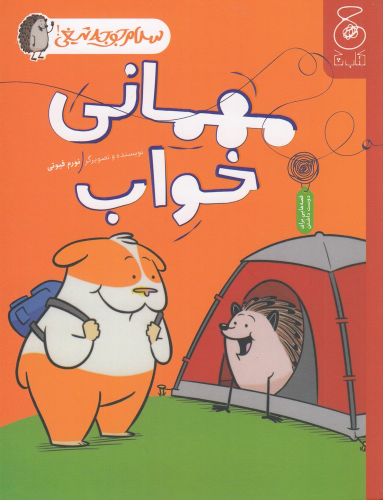 پایانه - مهمانی خواب