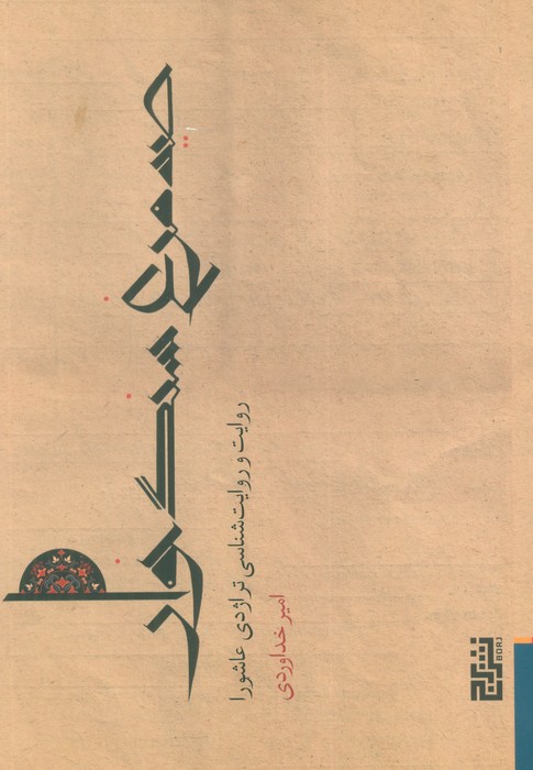 پایانه - صید مرغ سنگ خوار