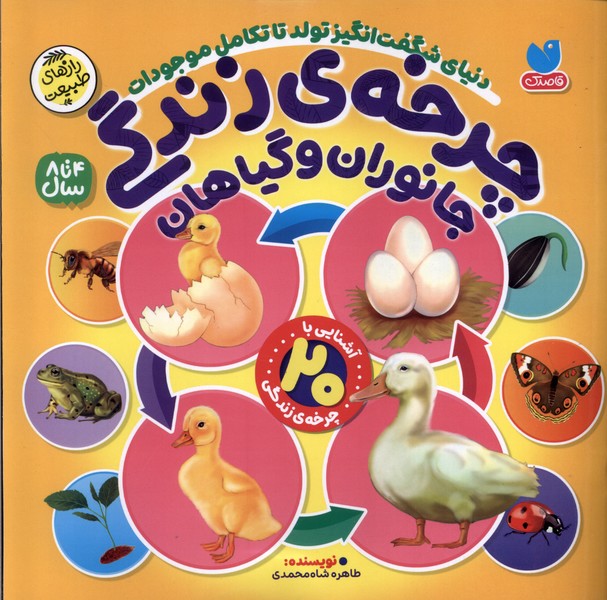 پایانه - چرخه ی زندگی