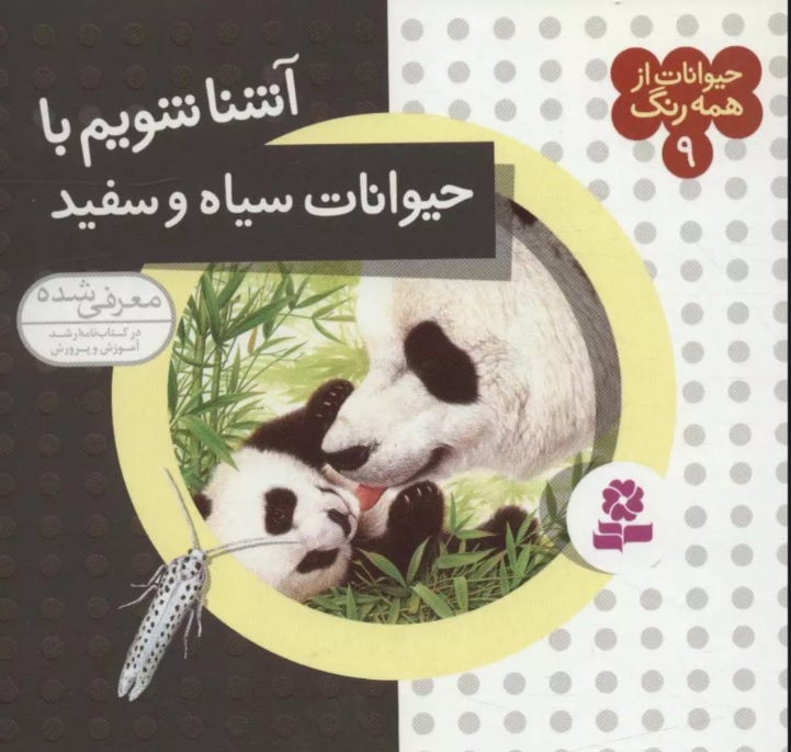 پایانه - آشنا شویم با حیوانات سیاه و سفید