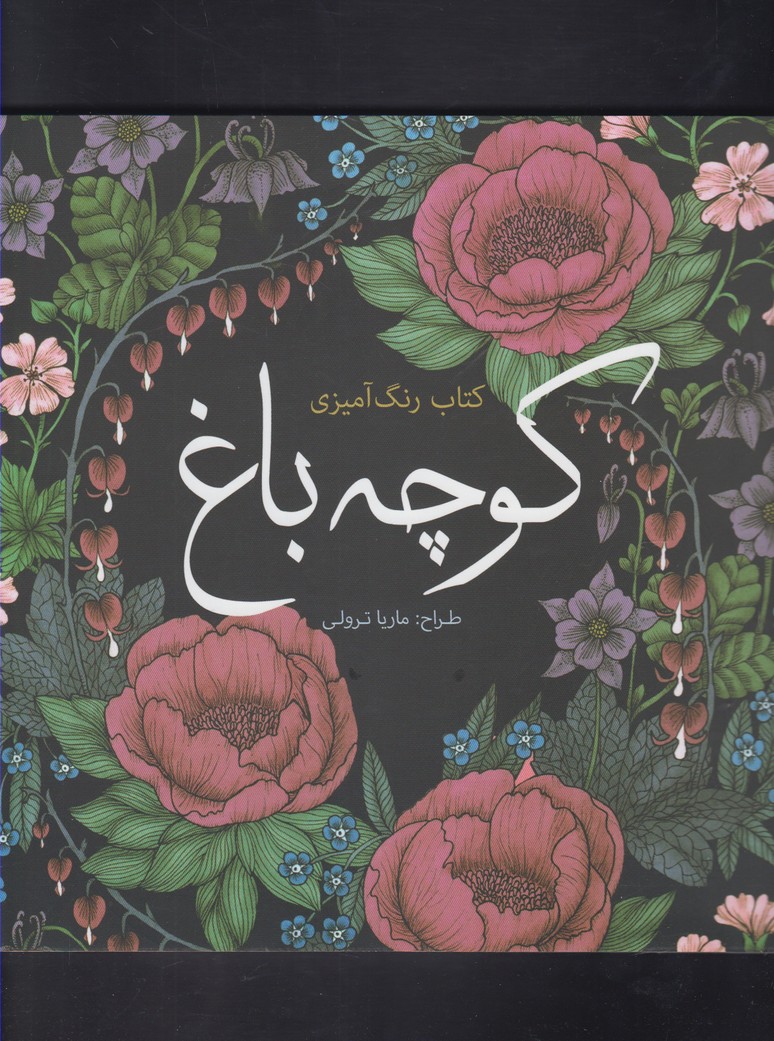 پایانه - کوچه باغ