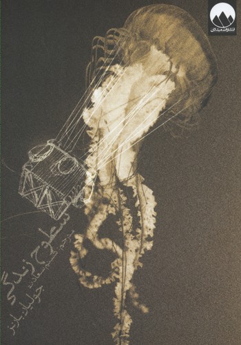 پایانه - سطوح زندگی