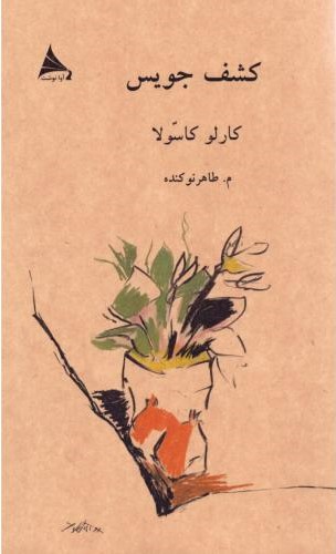 پایانه - کشف جویس