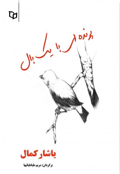 پایانه - پرنده ای با یک بال