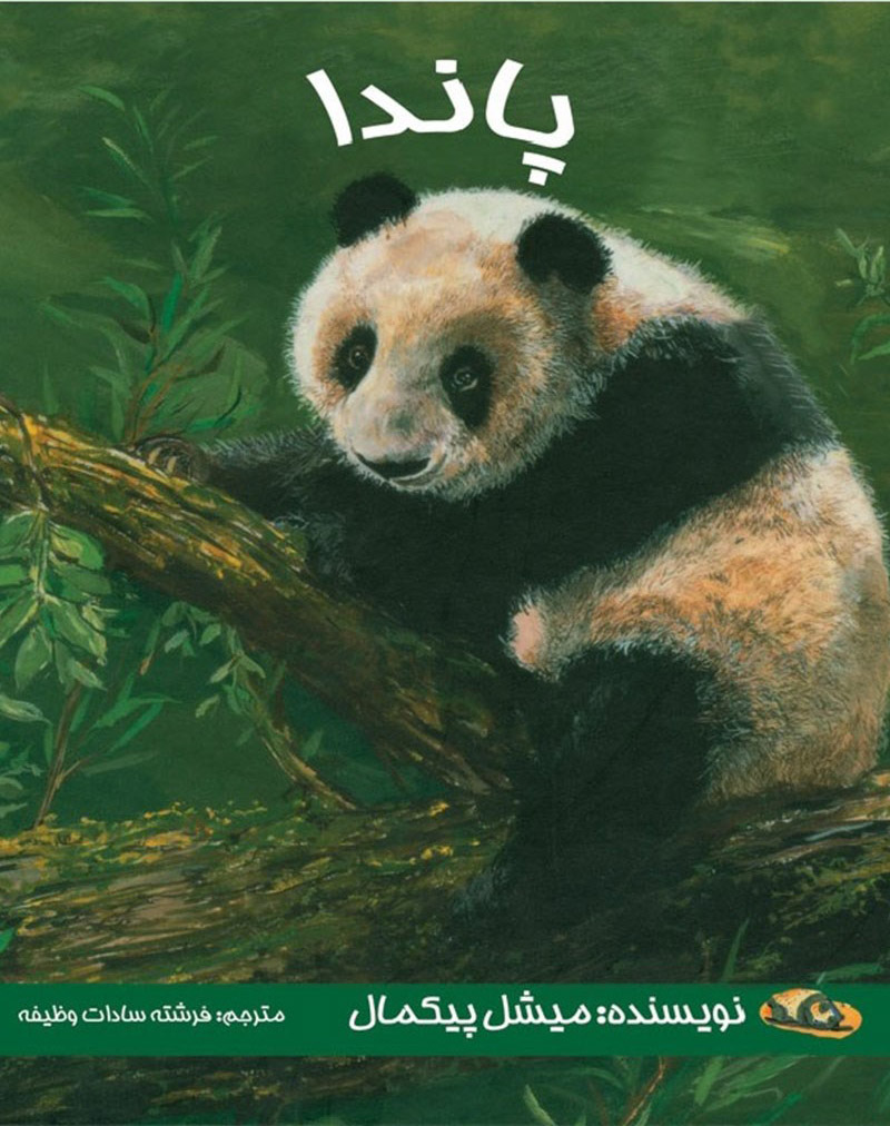 پایانه - پاندا