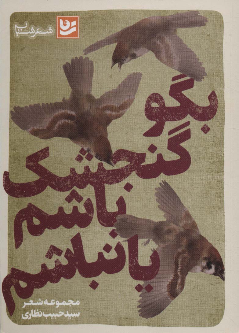 پایانه - بگو گنجشک باشم یا نباشم