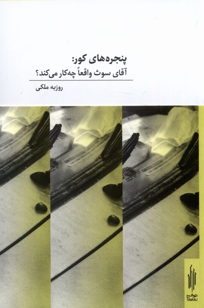 پایانه - پنجره های کور (دو زبانه)