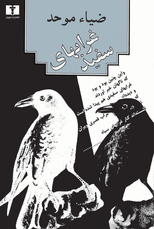 پایانه - غرابهای سفید