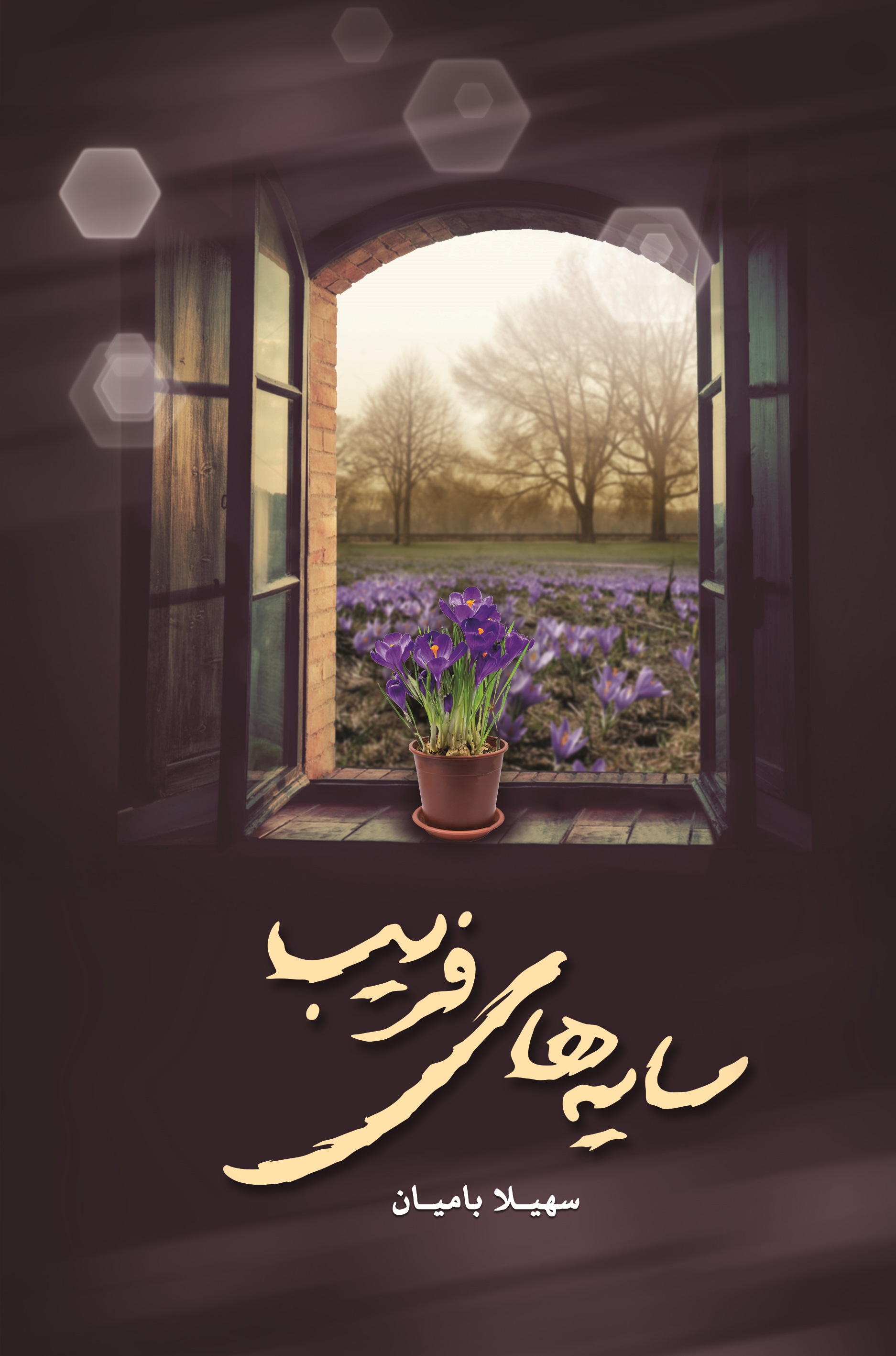 پایانه - سایه های فریب