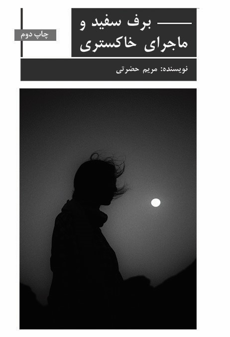 پایانه - برف سفید و ماجراهای خاکستری