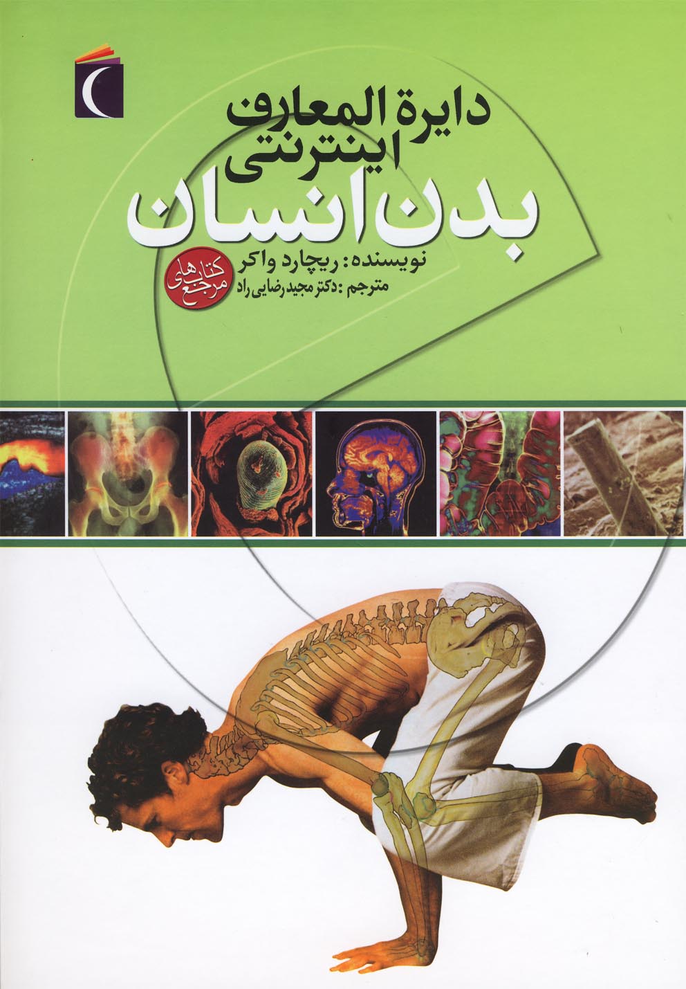 پایانه - دایره المعارف اینترنتی بدن انسان