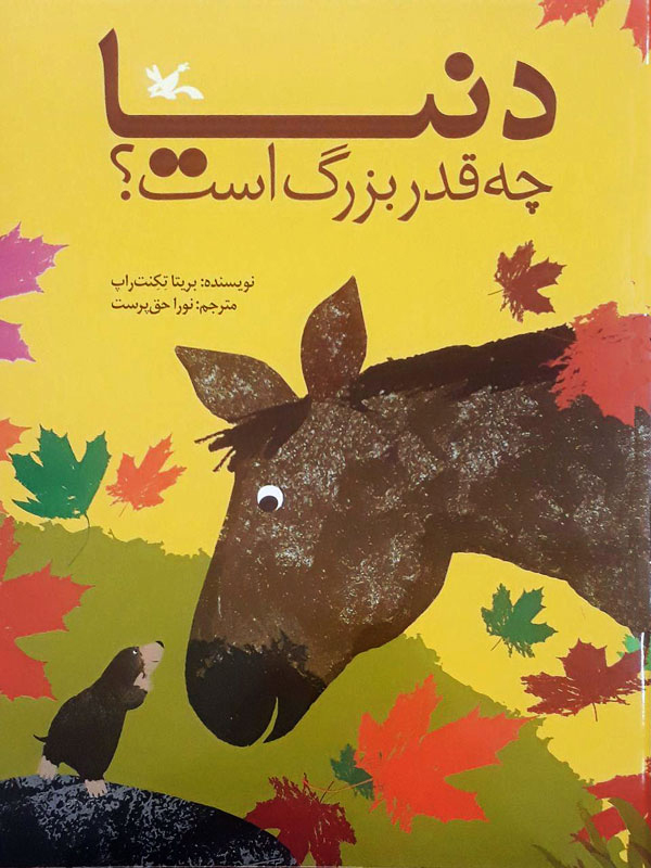 پایانه - دنیا چه قدر بزرگ است؟