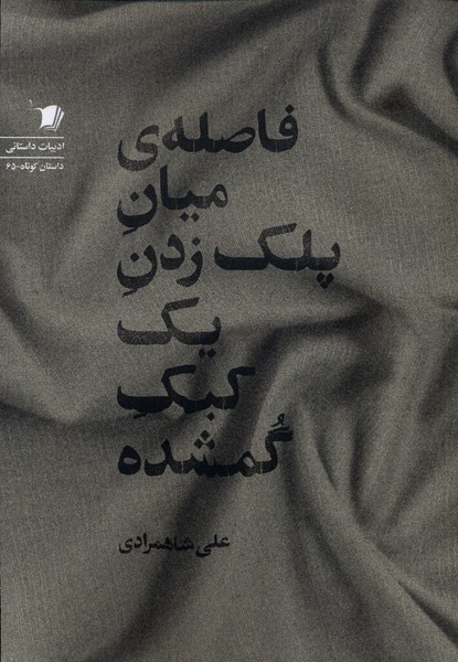 پایانه - فاصله ی میان پلک زدن یک کبک گمشده