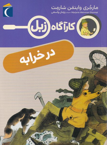 پایانه - در خرابه