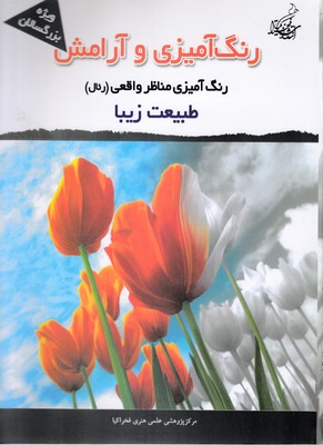 پایانه - رنگ آمیزی و آرامش