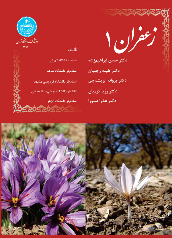 پایانه - زعفران 1