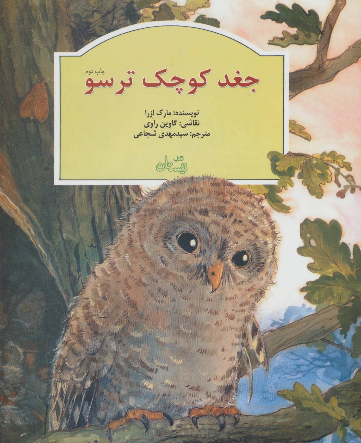 پایانه - جغد کوچک ترسو