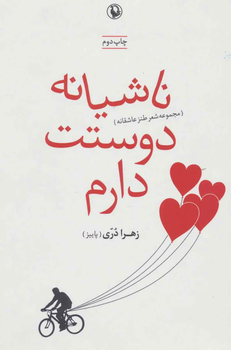 پایانه - ناشیانه دوستت دارم