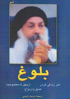 پایانه - بلوغ