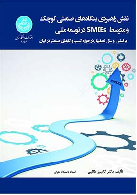 پایانه - نقش راهبردی بنگاه های صنعتی کوچک و متوسط (SMIEs) در توسعه ملی