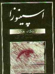 پایانه - اسپینوزا