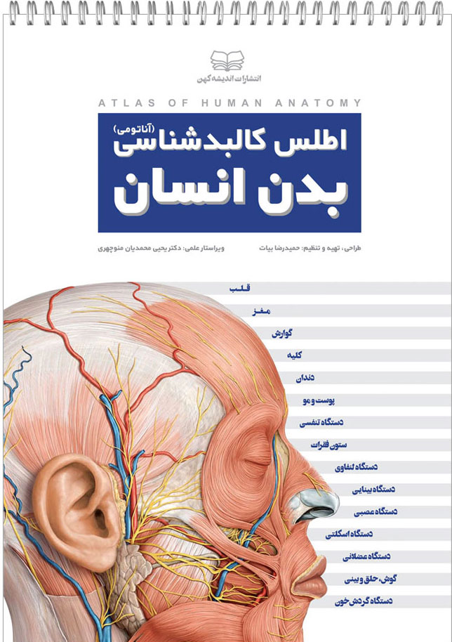 پایانه - اطلس کالبدشناسی بدن انسان