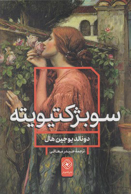 پایانه - سوبژکتیویته