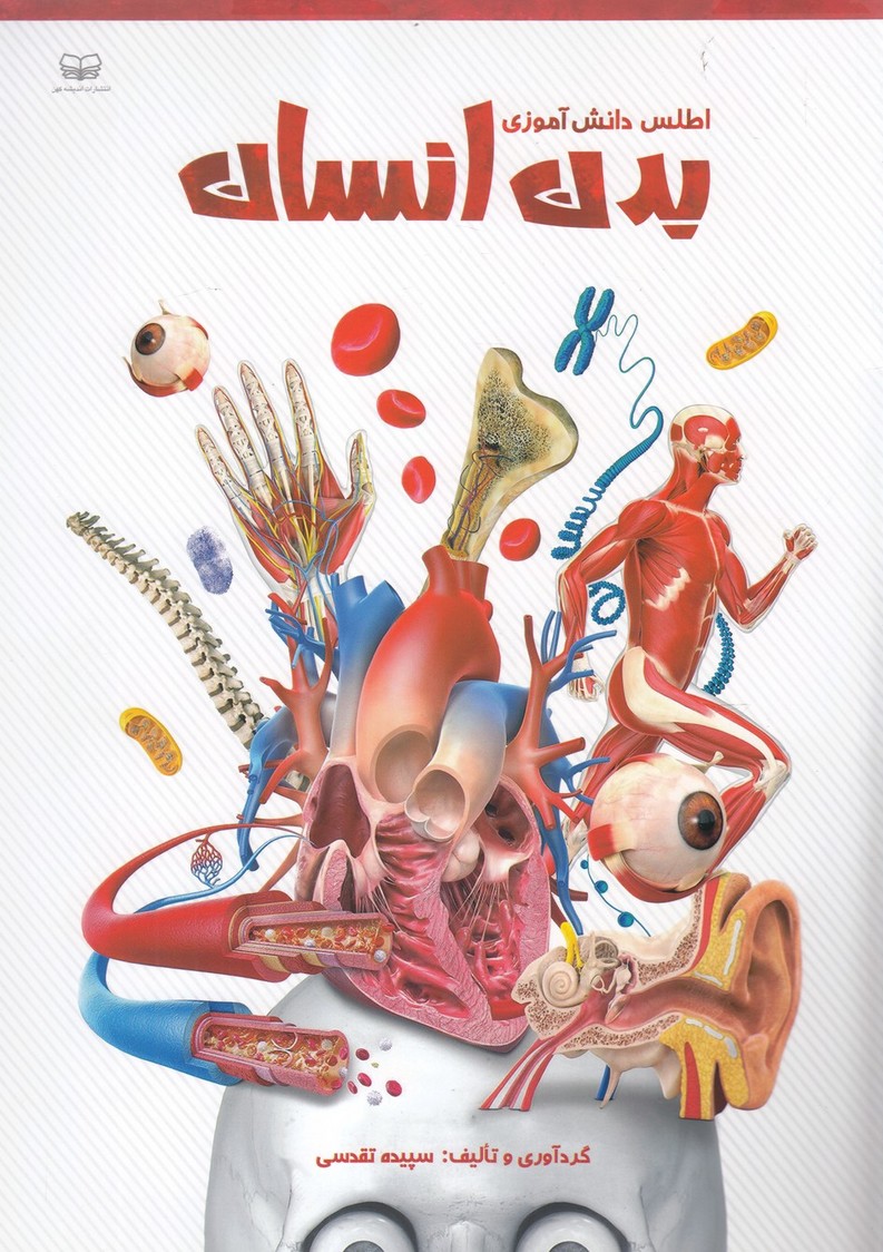 پایانه - اطلس دانش آموزی بدن انسان