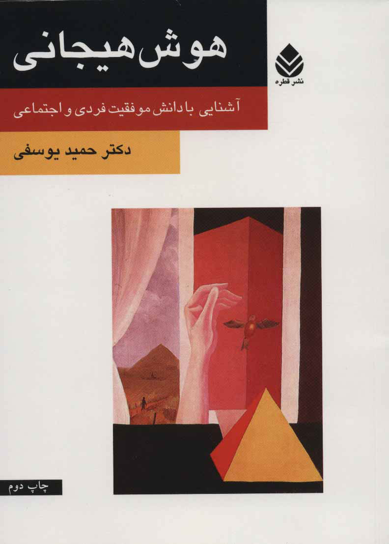 پایانه - هوش هیجانی