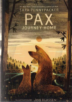 پایانه - Pax Journey Home