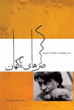 پایانه - طنزهای ناگهان