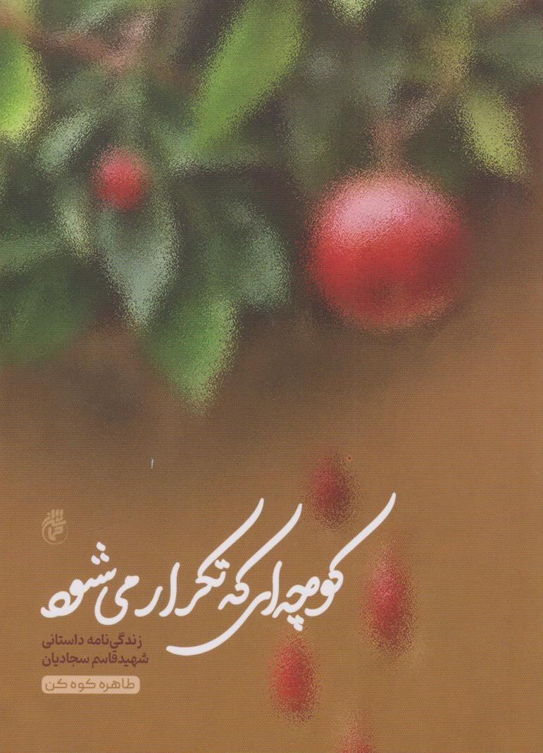 پایانه - کوچه ای که تکرار می شود