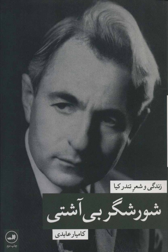 پایانه - شورشگر بی آشتی