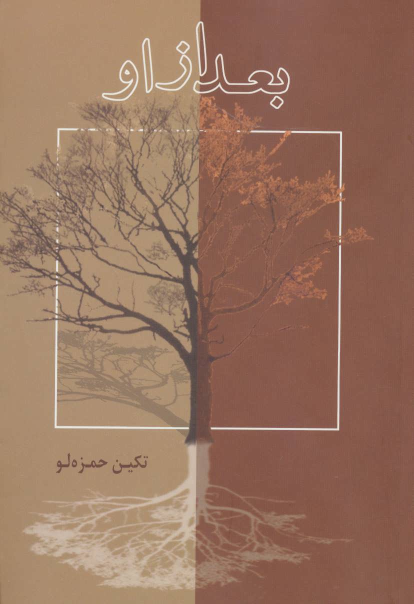 پایانه - بعد از او