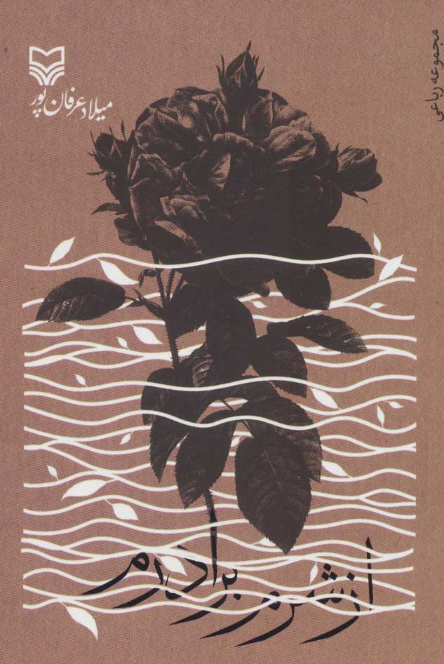 پایانه - از شرم برادرم