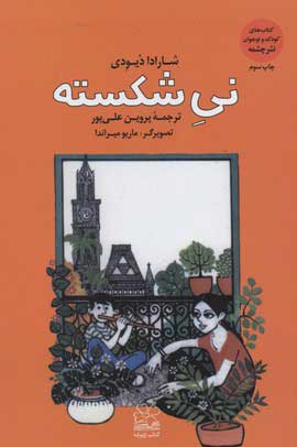 پایانه - نی شکسته