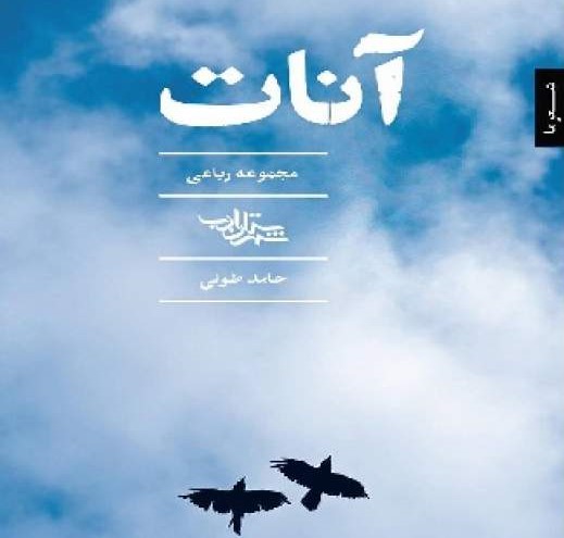 پایانه - آنات