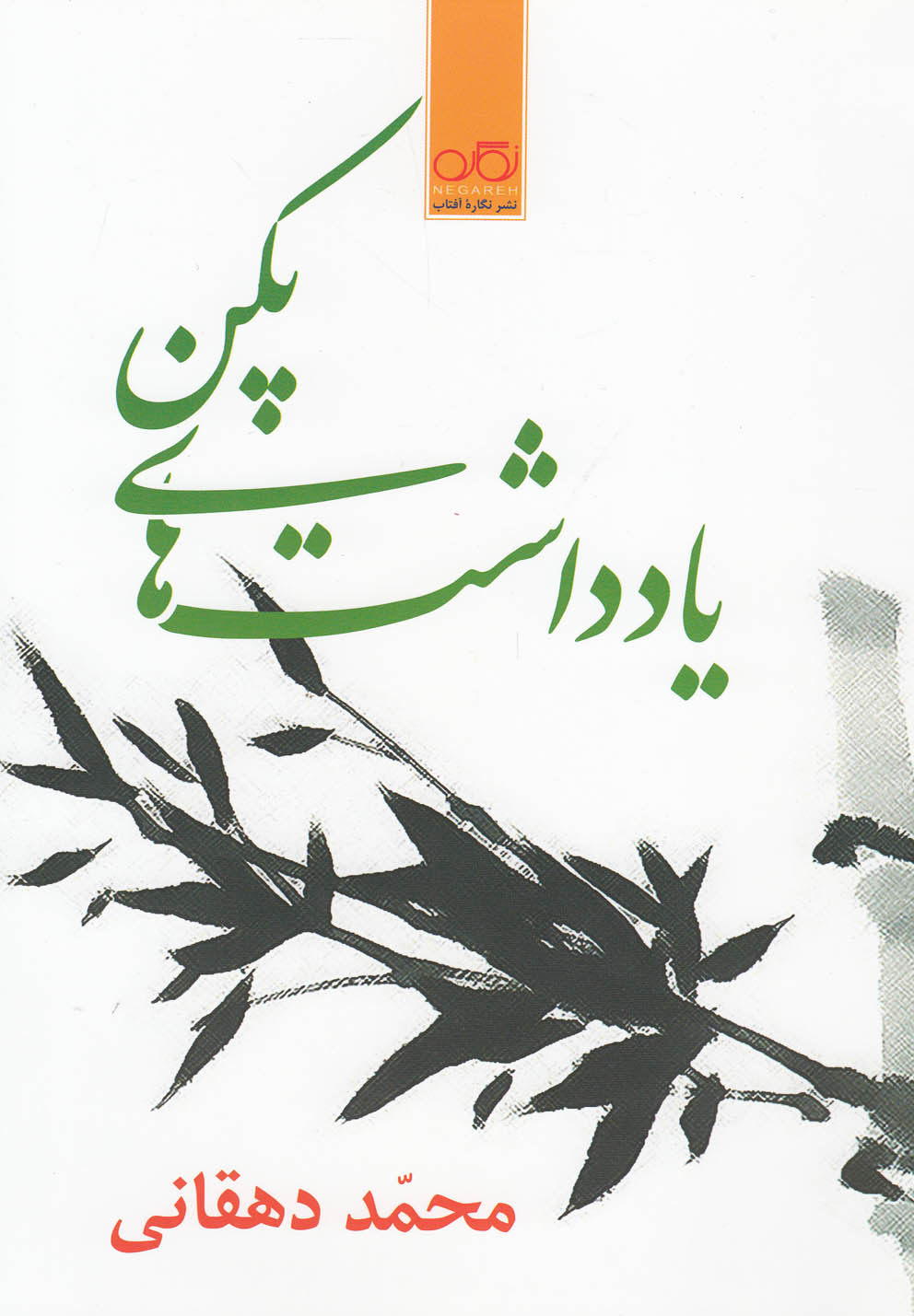 پایانه - یادداشت های پکن