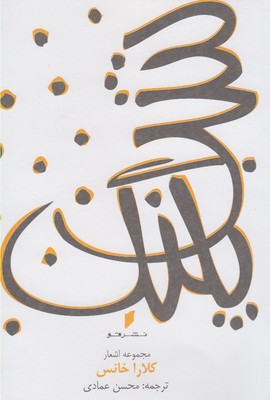 پایانه - شب پلنگ