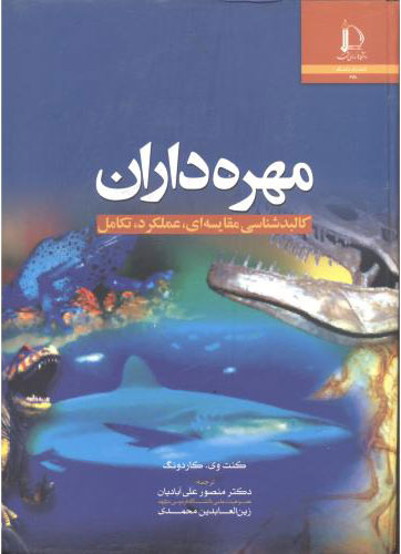 پایانه - مهره داران