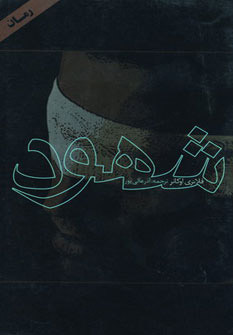 پایانه - شهود