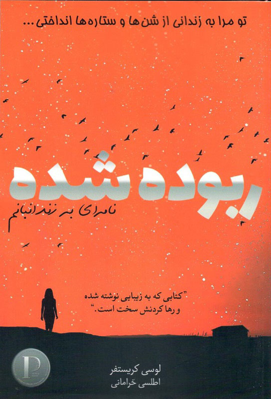 پایانه - ربوده شده