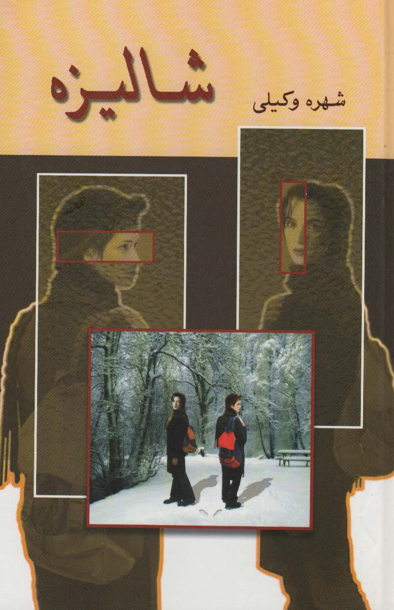 پایانه - شالیزه