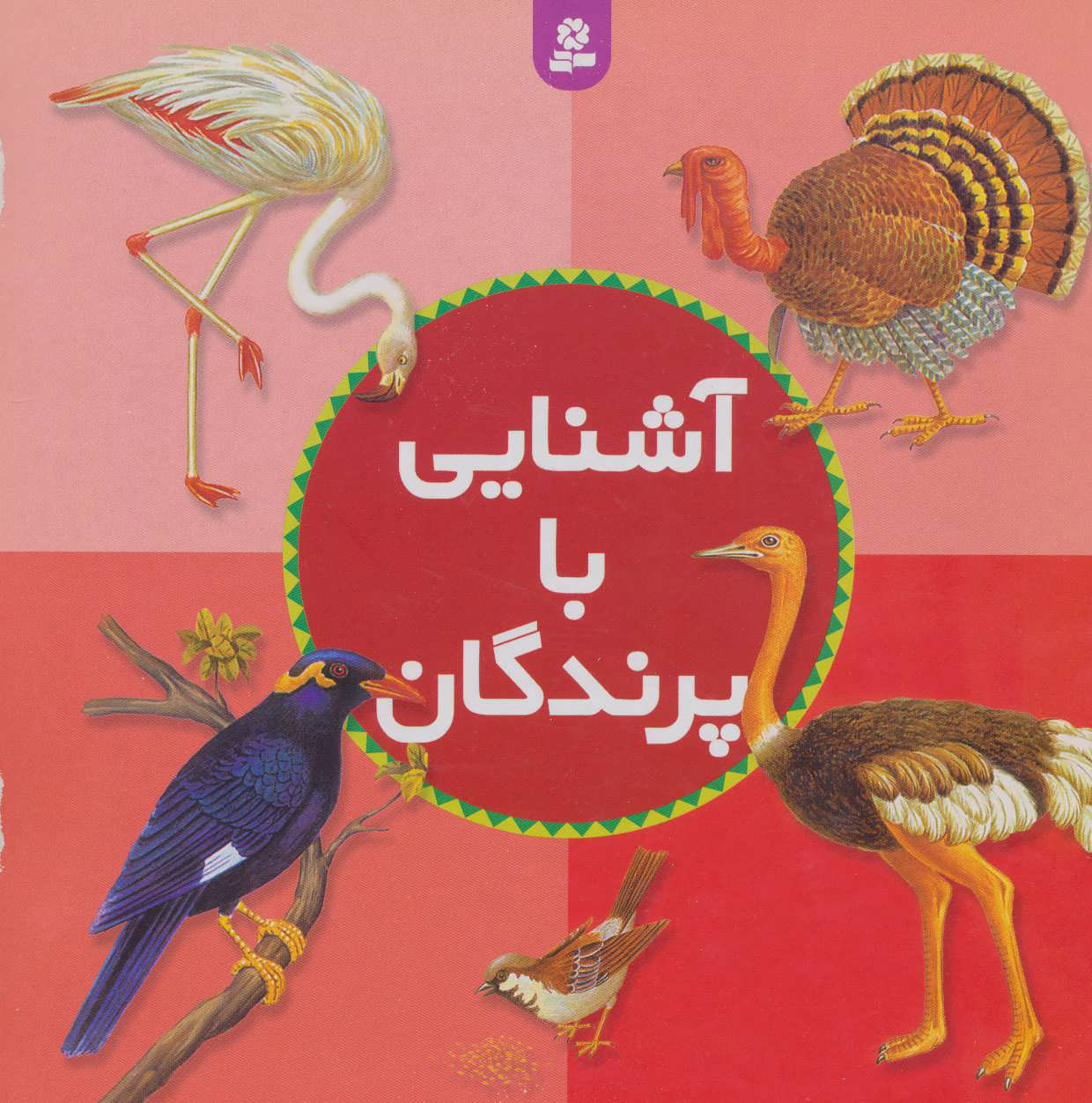 پایانه - آشنایی با پرندگان