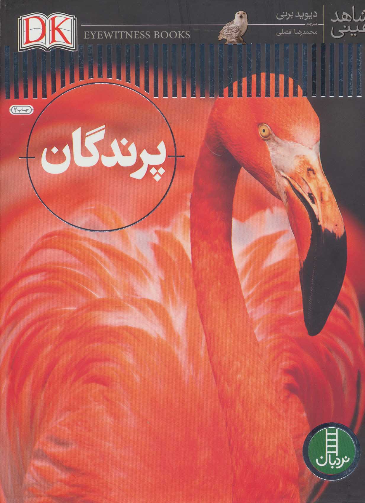 پایانه - پرندگان