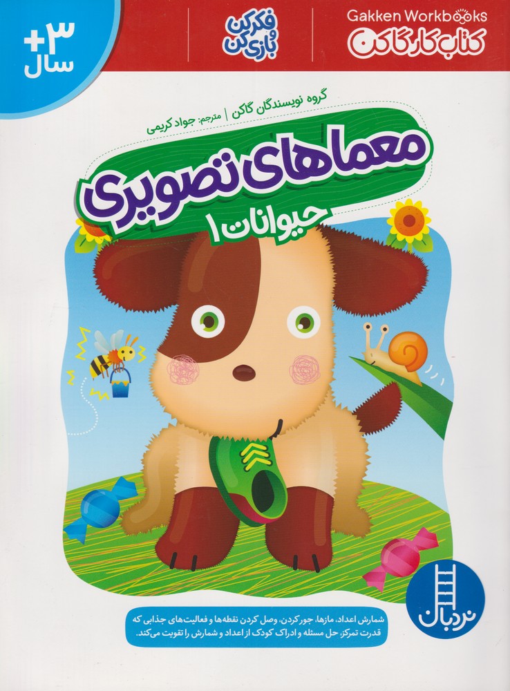 پایانه - معماهای تصویری